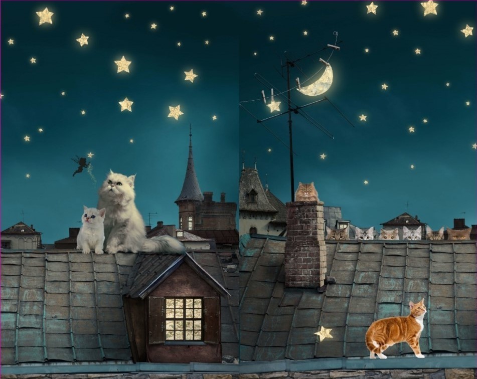 Jersey * Panel * Cats on the Roof * 120x150cm - Träume aus 