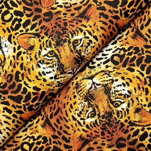 Canvas * Leopard
