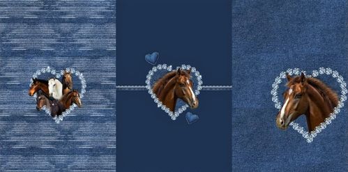 Sommersweat "Looks like Denim" Diamond & Horses * Panel 80x150cm
