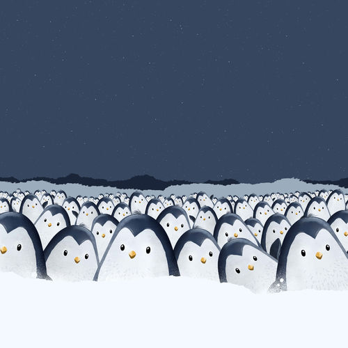 Sommersweat * Pinguinis by Thorsten Berger * Panel * Pinguinbordüre